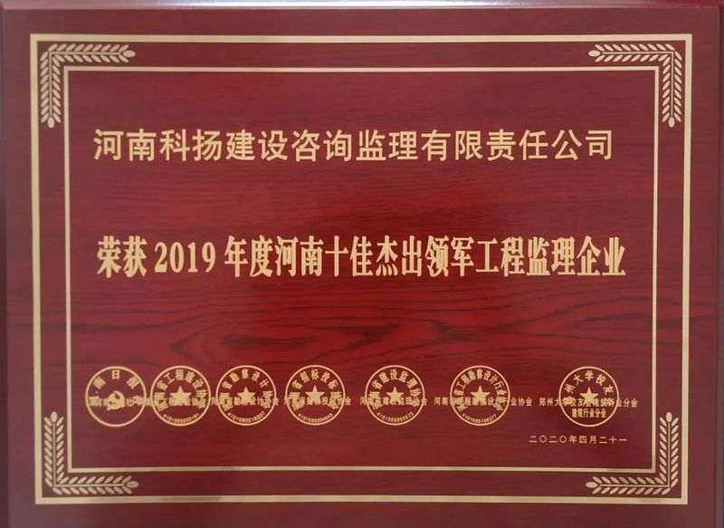 十佳杰出领军企业奖牌.jpg